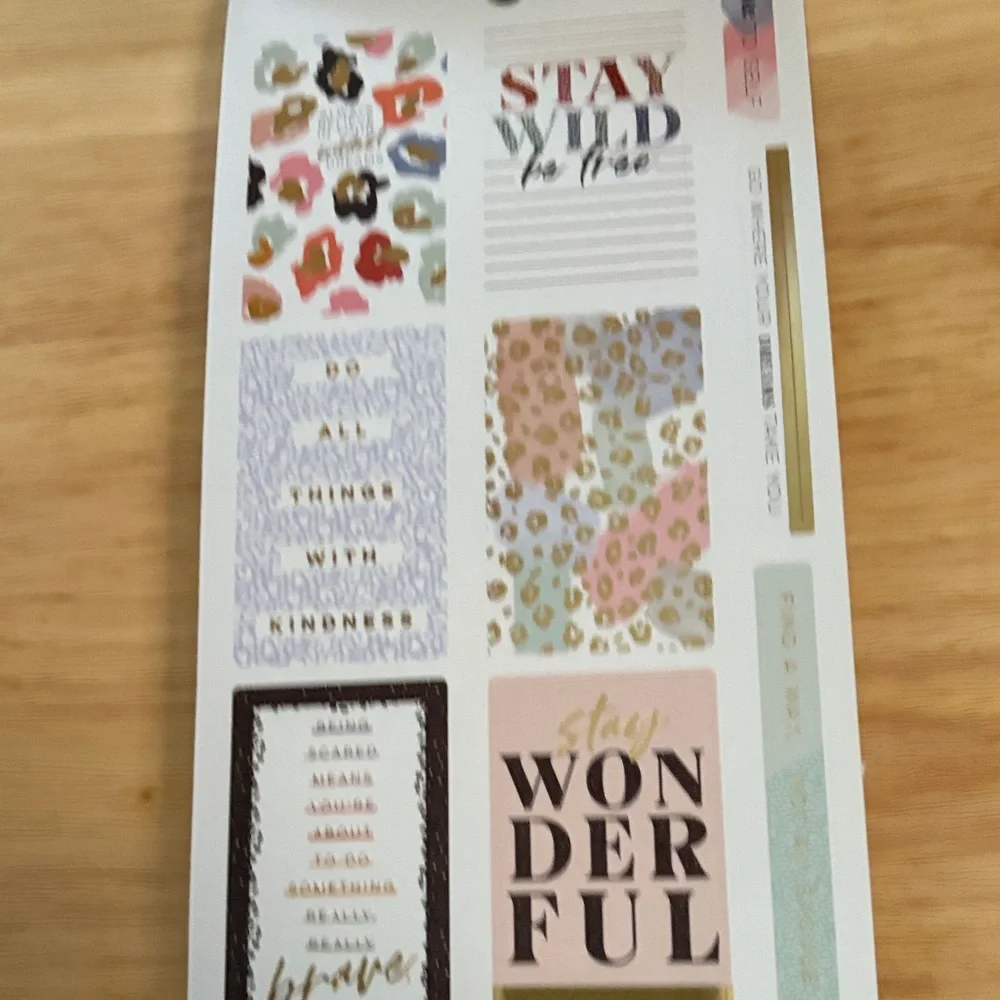 The Happy Planner Colorful Leopard Sticker Book. New